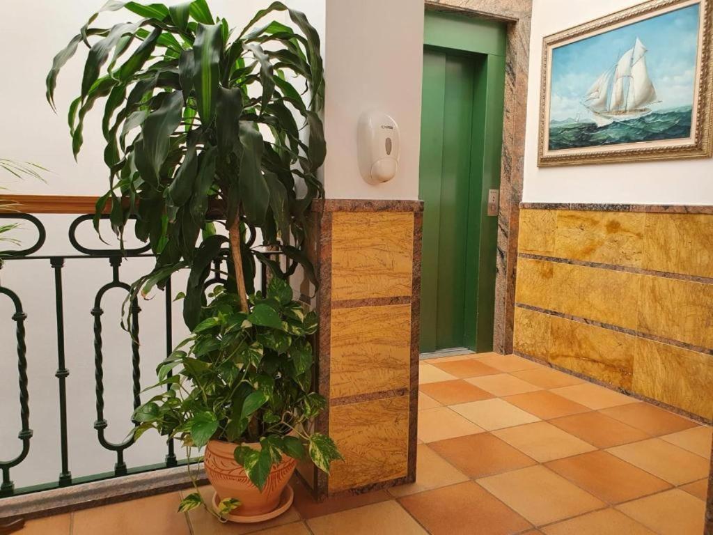 Apartamentos Leonor Carihuela Τορρεμολίνος Εξωτερικό φωτογραφία